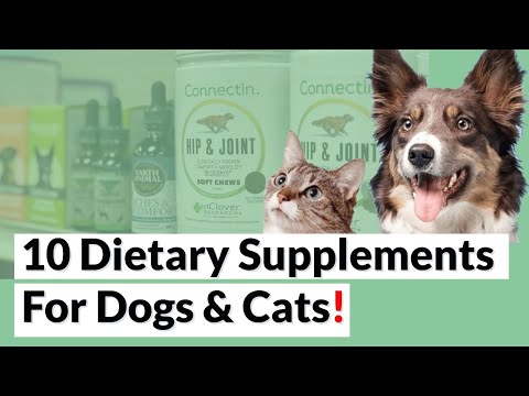 10 Dietary supplements for Your Dog or Cat!