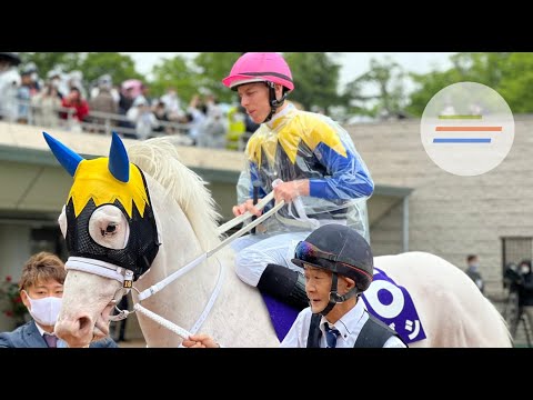 Stunning white racehorse Sodashi parades ahead of the G1 Victoria Mile at Tokyo