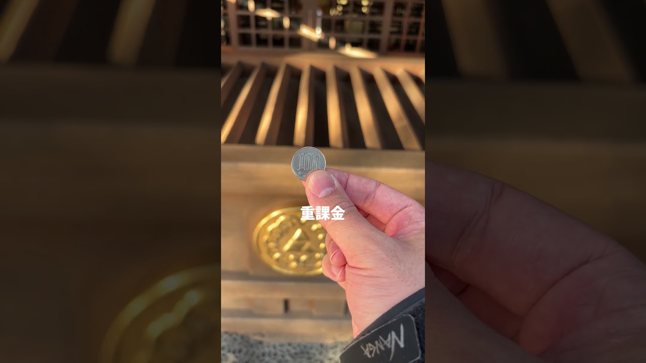 ４時起き社会人の朝活散歩VLOG＠江の島　#朝活Vlog