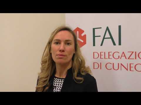 SAVIGLIANO  - Grazie al FAI il Cristo del Plura tornerà a splendere