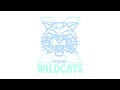 New Logo Reveal