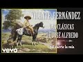 Vicente Fernández - Qué Suerte la Mía - Cover Audio