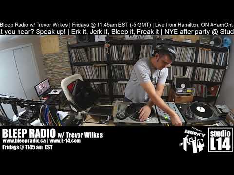 Bleep Radio #382 w/ Trevor Wilkes - Jan. 25th, 2019