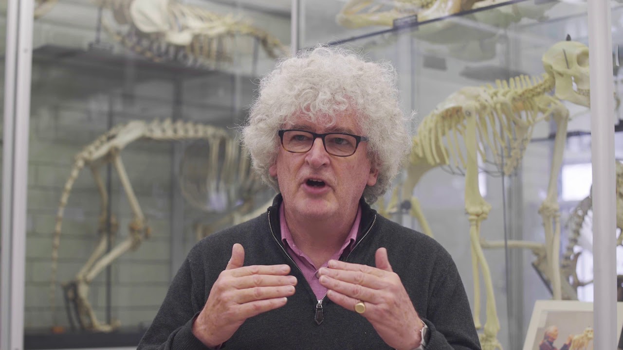 Professor Mark Elgar – 'Do animals have language?'