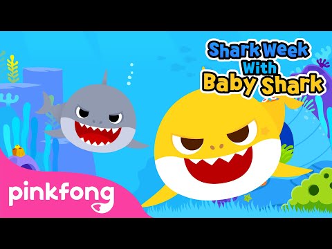 Happy Shark Week with Baby Shark | Baby Shark Show | Pinkfong Songs for Children