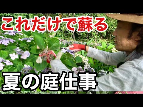 composition-jardinière-été-herbes-plantes-aromatiques