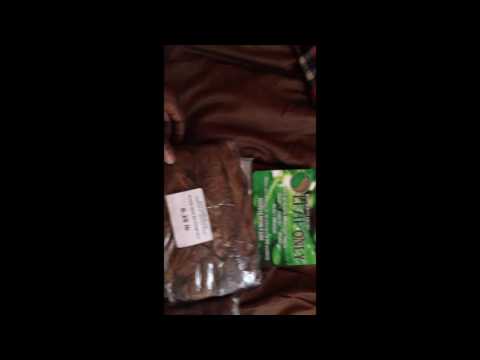 Fronto / Fonta from Leaf Only