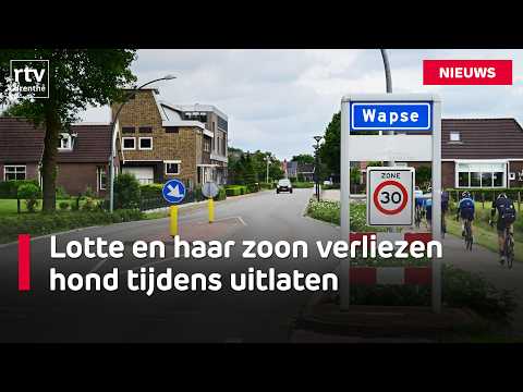 Police confiscate weapons from hunter who shot dog Benji | RTV Drenthe