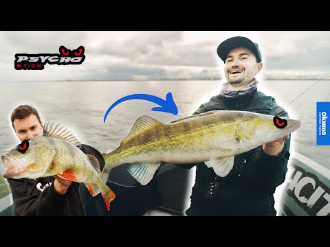 Turns Fish PSYCHO? 👀  | Meet the Psycho Stick!