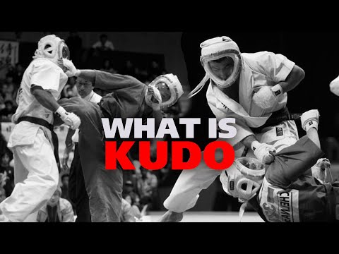 Kudo Karate - The Ultimate Martial Art | Daido Juku Karate
