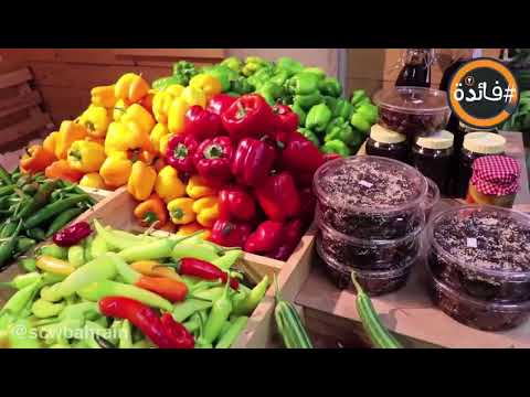 الحلقة الثامنة من برنامج فائدة الرمضاني ٣ .. مع د. أمل داوود وموضوع مكونات وجبة السحور .