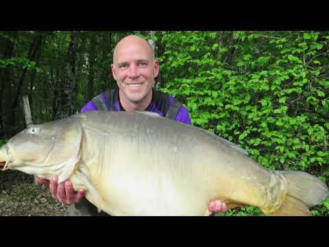 Venue videos photo 3