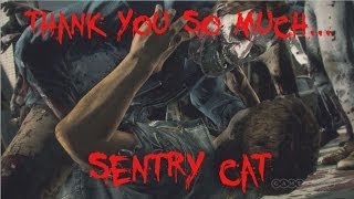 Gameplay - Gatto Sentinella