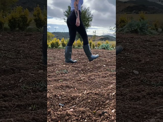 Vídeo relacionado con Mavinsa Bota alta de agua Foca Oliva 107, Verde, 41