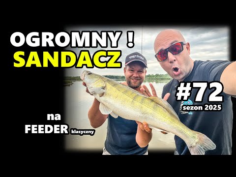 Ogromny sandacz na feeder klasyczny | 72. odcinek – Solec nad Wisłą