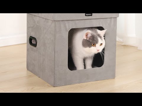 Top 5 Best Heated Cat Beds Review in 2022 | Which One Should You Buy?