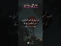 Hazrat Imam Ali Ka Farman Sachi Mohabbat Hazrat Ali As Urdu Quotes Ali Writes ️