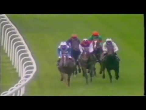 Top 10 Queen Elizabeth II Stakes Winners 1989 - 2011