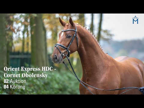 Nr. 2 Hengst v. Orient Express - Cornet Obolensky