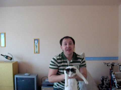 cat malena kočka punik 8