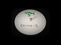 Wiley - Ice Pole (2003)