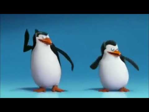 na dz7 e na marcone 🤡