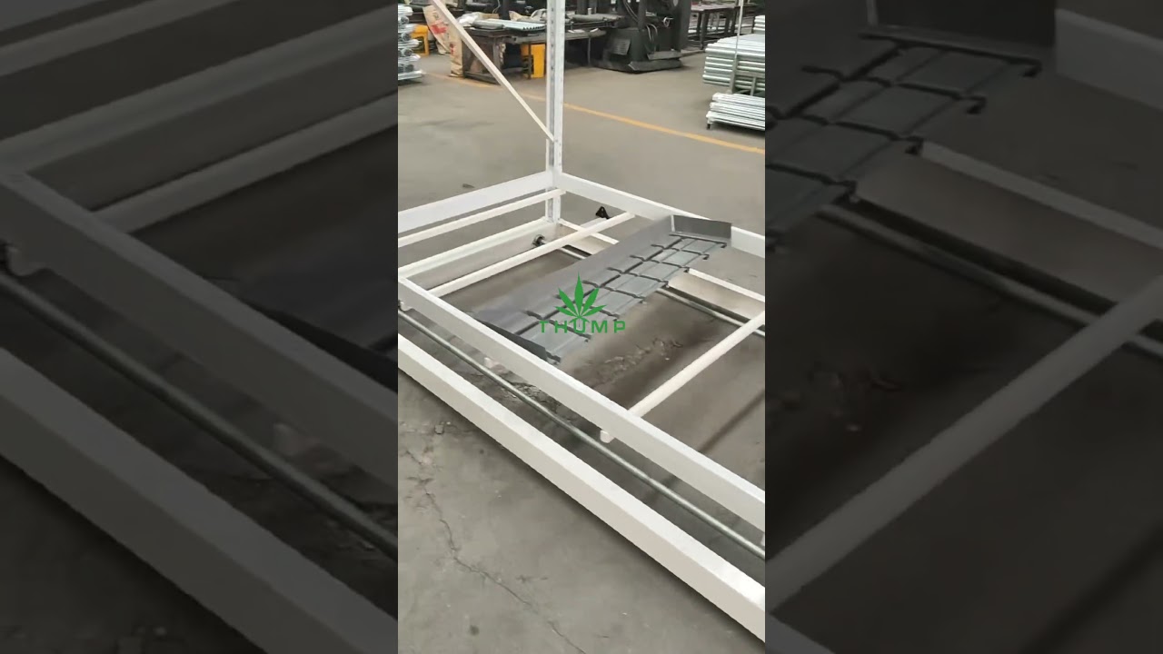 Video 1