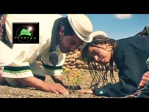 YARA - "Severina"   (Salaque Jalk´a)