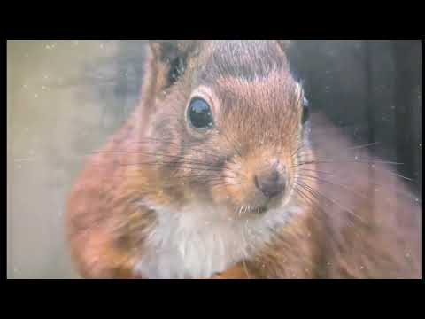 Opwekking 430 Heer, ik prijs uw grote Naam