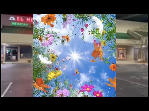 psythoness - 20 years (and 30 more) official music video