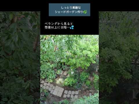 日陰を好む植物：庭を素敵にするトップ5！  庭園