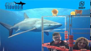 DIA 3 Expo Tiburon146