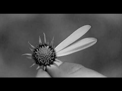 Preisfrage 2006 - Wer hat die Wahl?