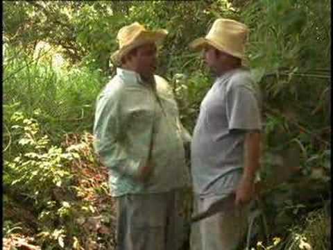 AGAPITO Y AGAPUATO NNN