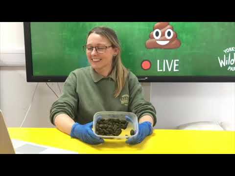 Whose Poo LIVE #3 💩