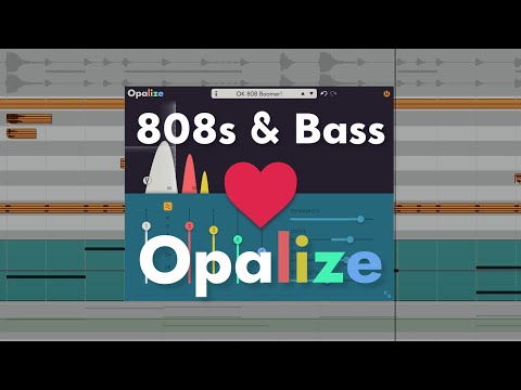 Free Download Opalize v1.1.0 AAX VST3 x64 WiN-SEnki