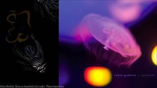 robin guthrie little big fish   4 sep 2oo9