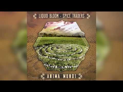 Liquid Bloom & Spice Traders - Anima Mundi (Kaya Project Remix feat. Irina Mikhailova)