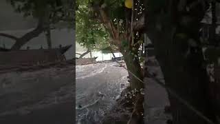 Download lagu DETIK DETIK PANTAI SELATAN NGAMUK || KABAR DUKA mp3