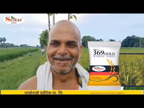Srikar Paddy 369-Gold, Farmer Feedback #video #Srikar1818