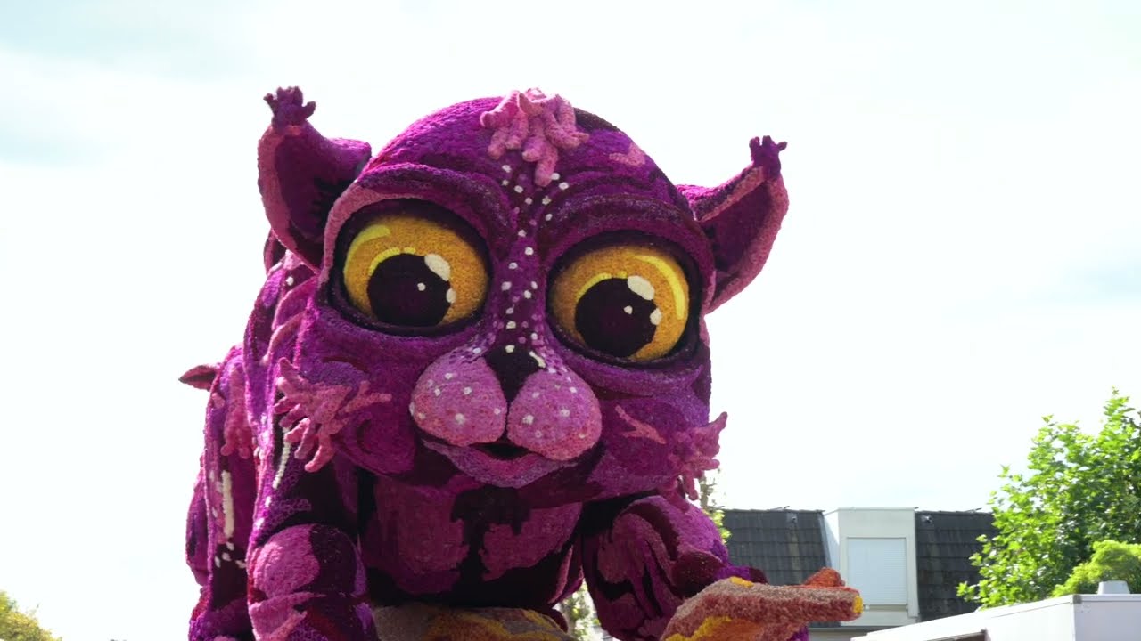 Bloemencorso lichtenvoorde 2024