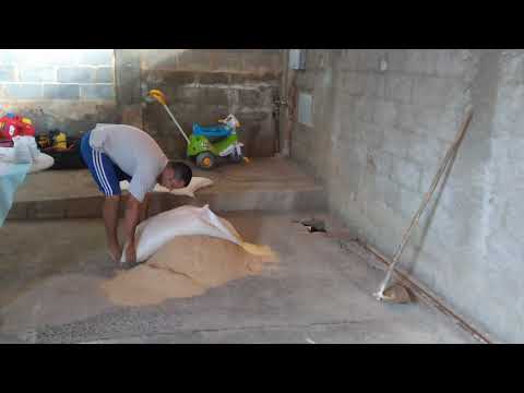 INDIO GIGANTE , RAÇÃO MENOS DE R$ 1,50 O KG 💥💥💥