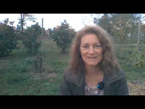 Kik is vagyunk? - Szeretet-közösség ❤️