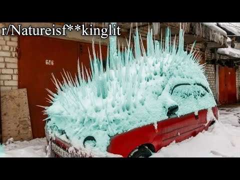 ALL OF R/NATUREISF**KINGLIT