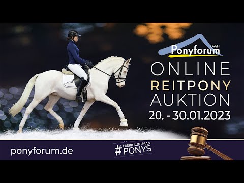 Great Grimaldi Wallach 2019 v. Hesselteichs Grimald / Cevin Costner