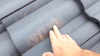 The differance between a cheap roof restoration job and a good one 2016-07-27 12.26.13.mov