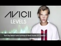 Avicii - Levels (Don't Stop Believin' Mashup Le Brinque & Henrik Grundén)