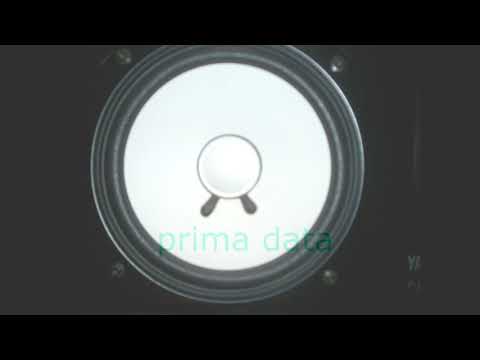 Shobby - Prima Data