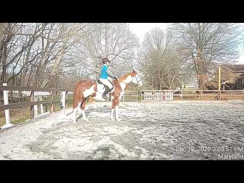 130 Mandy Wilson on Classical Sonny Adult WTC EQ