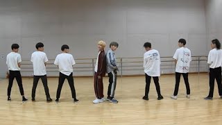 [JBJ95 - Who I Am] dance practice mirrored